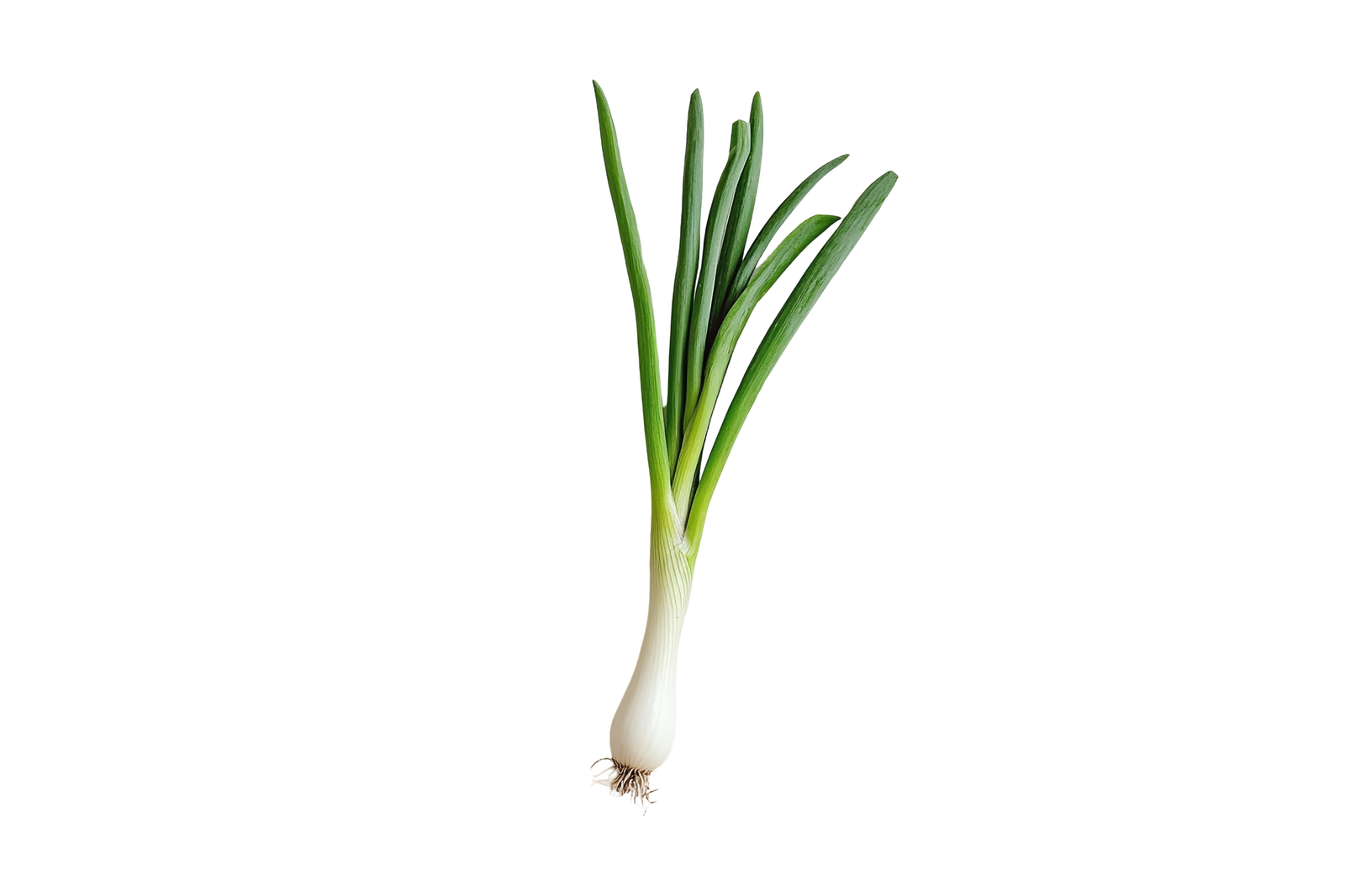 Spring Onions
