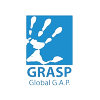 Quality Certification